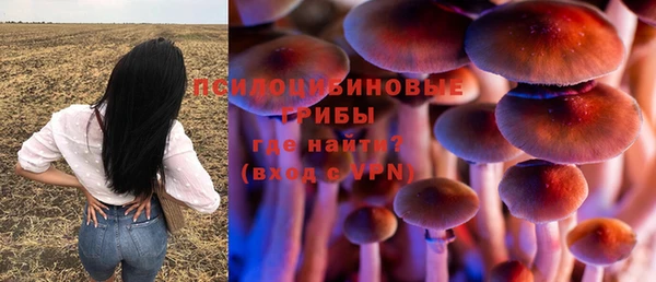 ECSTASY Балахна
