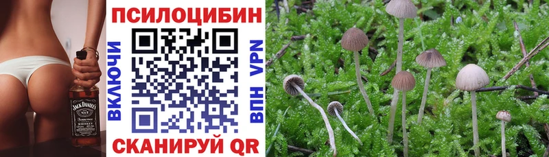 Псилоцибиновые грибы мухоморы  наркошоп  Уварово 
